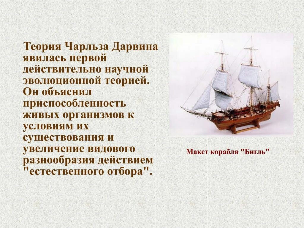 Путешествие Дарвина на корабле Бигль. Ч дарвин кругосветное путешествие