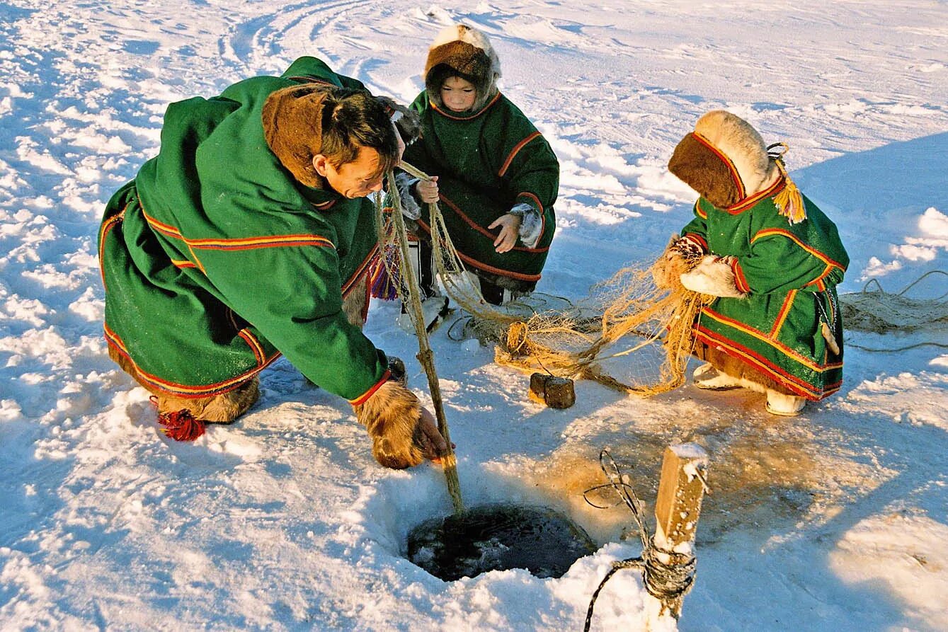 Основные занятия якутов. Народы севера Ханты и манси. Занятия народов Ханты и манси. Ненцы Ханты манси. Коренные малочисленные народы севера ХМАО.