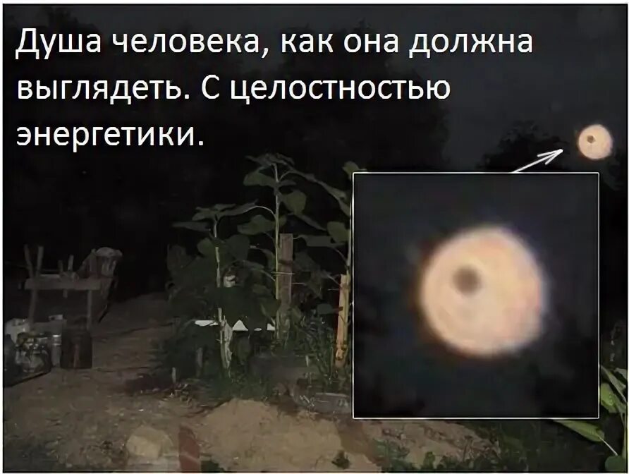 Ученые обнаружили всплески сознания в умирающем мозге. Это частично объясняет ок