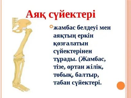 Мастурбация жасайтын әйелдердің онлайн порносы