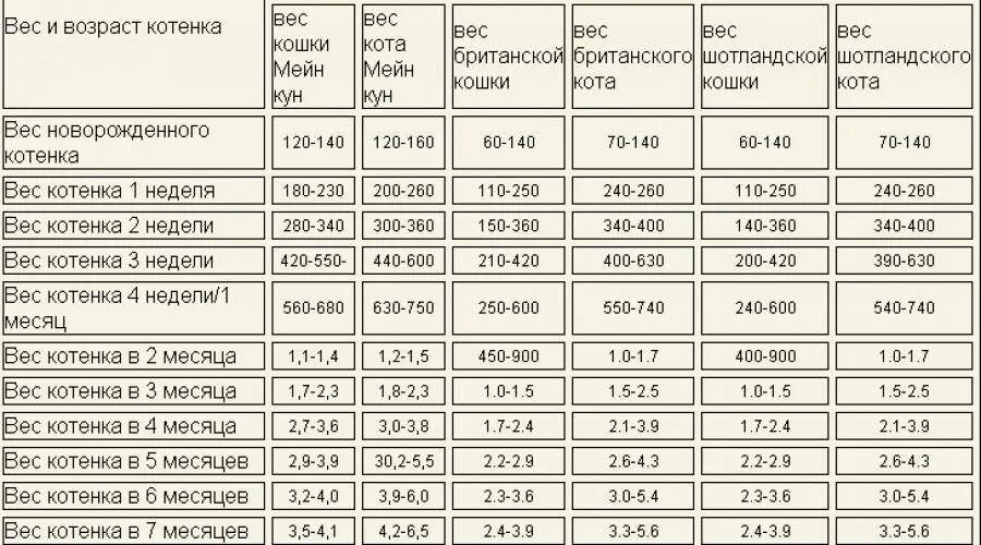 Вес котенка в 4. Вес котенка в 2 месяца норма таблица. Рост и вес котят по месяцам таблица. Норма веса кошки в 2 месяца. Вес котов британцев по возрасту таблица.