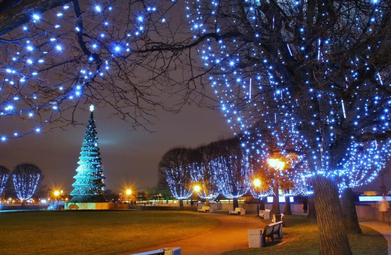 New years night. Новогодний город. Гирлянда на дереве. Новогодняя улица. Новогоднее украшение города.