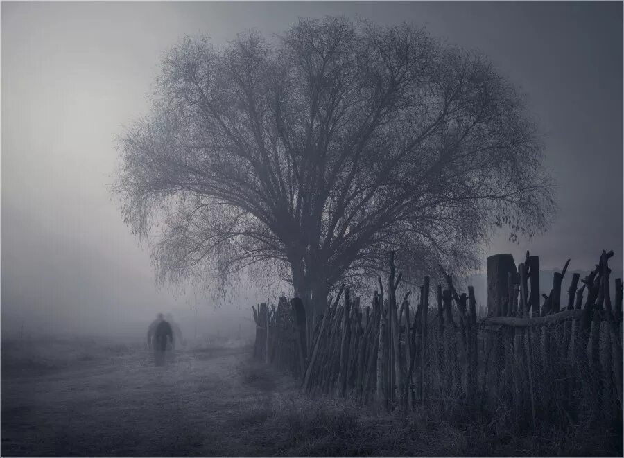 силуэт в тумане. темный эмбиент. обои для рабочего стола dark ambient. темный эмбиент. Dark ambience.