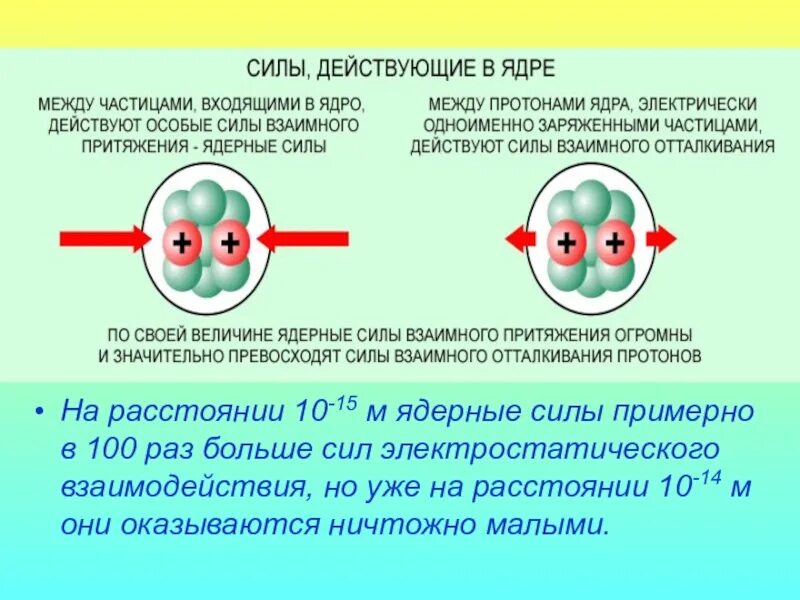 Ядерные силы действуют на расстояниях