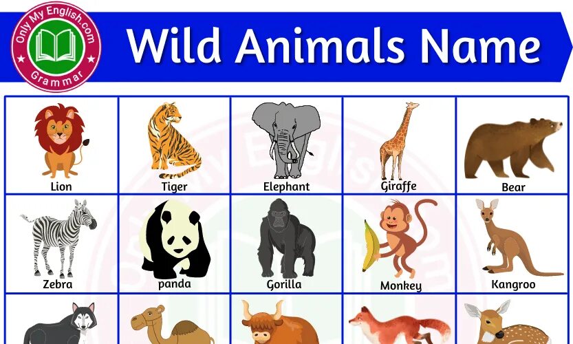 Wild animals на английском. Дикие животные с именами. Млекопитающие на английском. Types of animals for Kids. Дикие животные на английском 3 класс