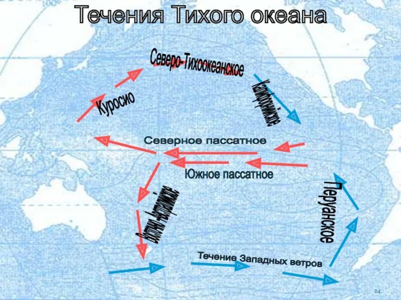 5 течения тихого океана. Куросио, Южное пассатное , Гольфстрим. Северо пассатное течение Тихого океана. Северо пассатное течение и Южно пассатное. Северное пассатное течение в тихом океане.