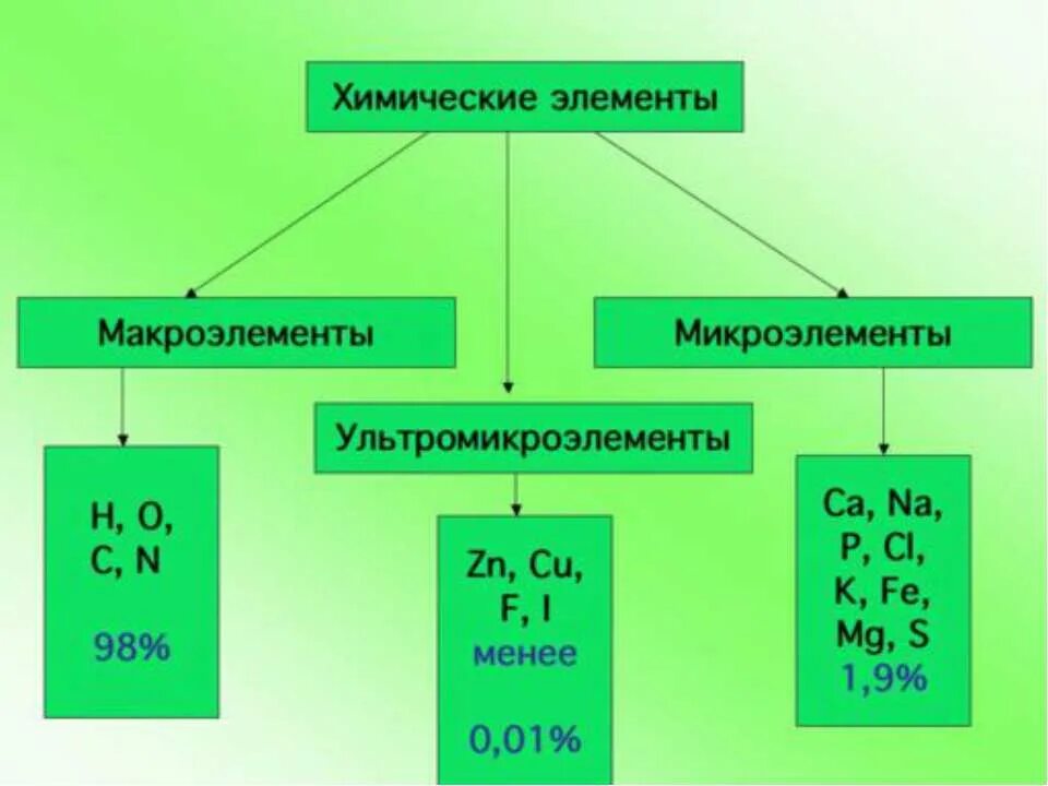 Химические элементы в организме человека 7 класс. Макроэлементы 2) микроэлементы 3) ультрамикроэлементы. Элементы биогены макроэлементы микроэлементы схема. Химические элементы клетки.