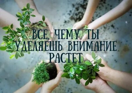 Энергия направленного внимания