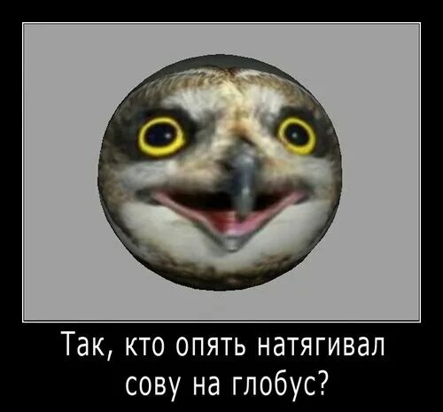 Что значит натянуть сову на глобус выражение. Натягивание совы на глобус. сова натянутая на глобус. натянуть сову на глобус. сова на глобусе.