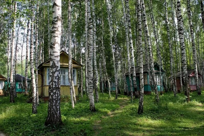 Березки павловский. Нижегородская область Павловский район база отдыха Березка. Турбаза Березка Чкаловский район. Турбаза Березка Нижегородская область Чкаловский район. Турбаза Березка Нижегородская область Павловский район Ворсма.