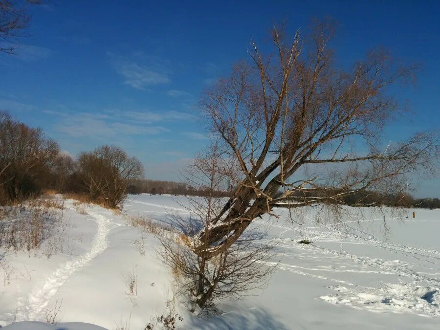 Водоем зимой и летом. Как свияга изменяется в разные времена года. Река свияна в татарстана на катте. Паводок свияга ульяновск. Свияга татарстан.
