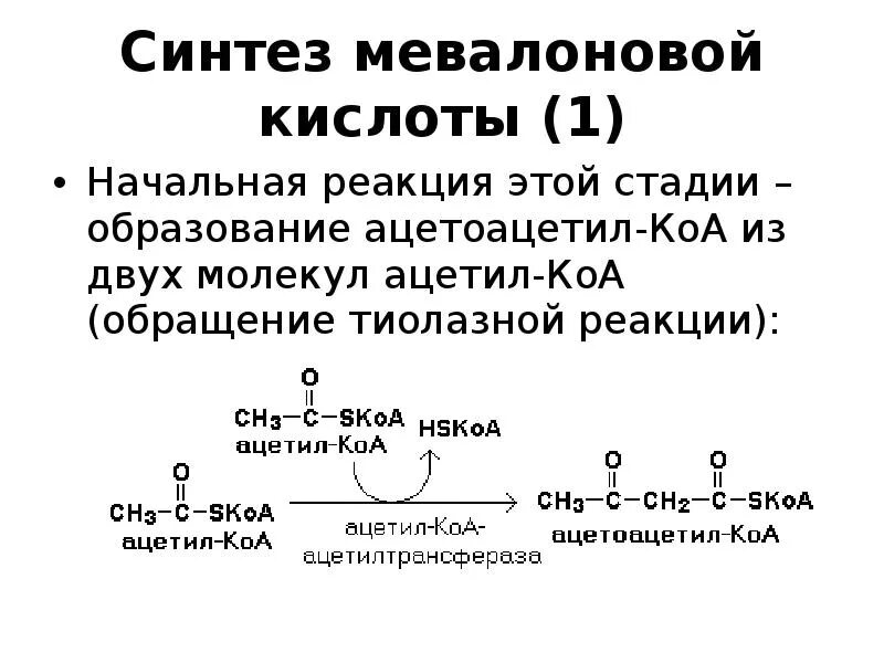 Молекула ацетил коа. Химизм образования мевалоновой кислоты. Реакция синтеза холестерина до мевалоновой кислоты. Синтез холестерола реакции образования мевалоновой кислоты. Синтез мевалоновой кислоты.