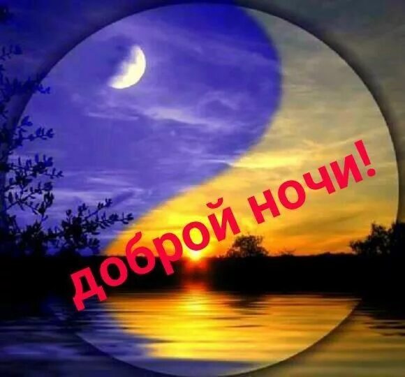 Доброй июльской ночи. Ромашки ночью. Спокойной ночи лето. Доброй ночи среды. Июльской ночи картинки с надписями.