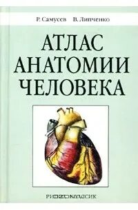 Атлас нормальной анатомии человека самусев липченко