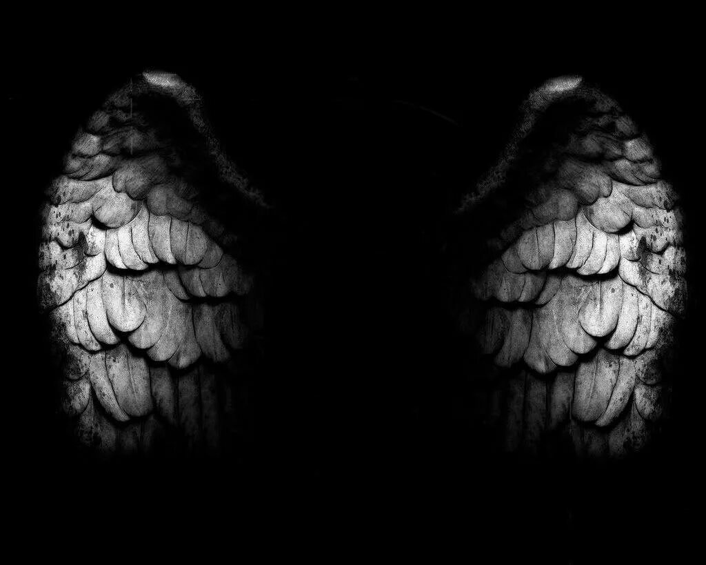 Крылья на темном фоне. Крылья ангела на черном фоне. Черные Крылья на черном фоне. Крылья на черном фоне