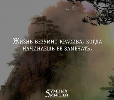 Что значит замечать жизнь