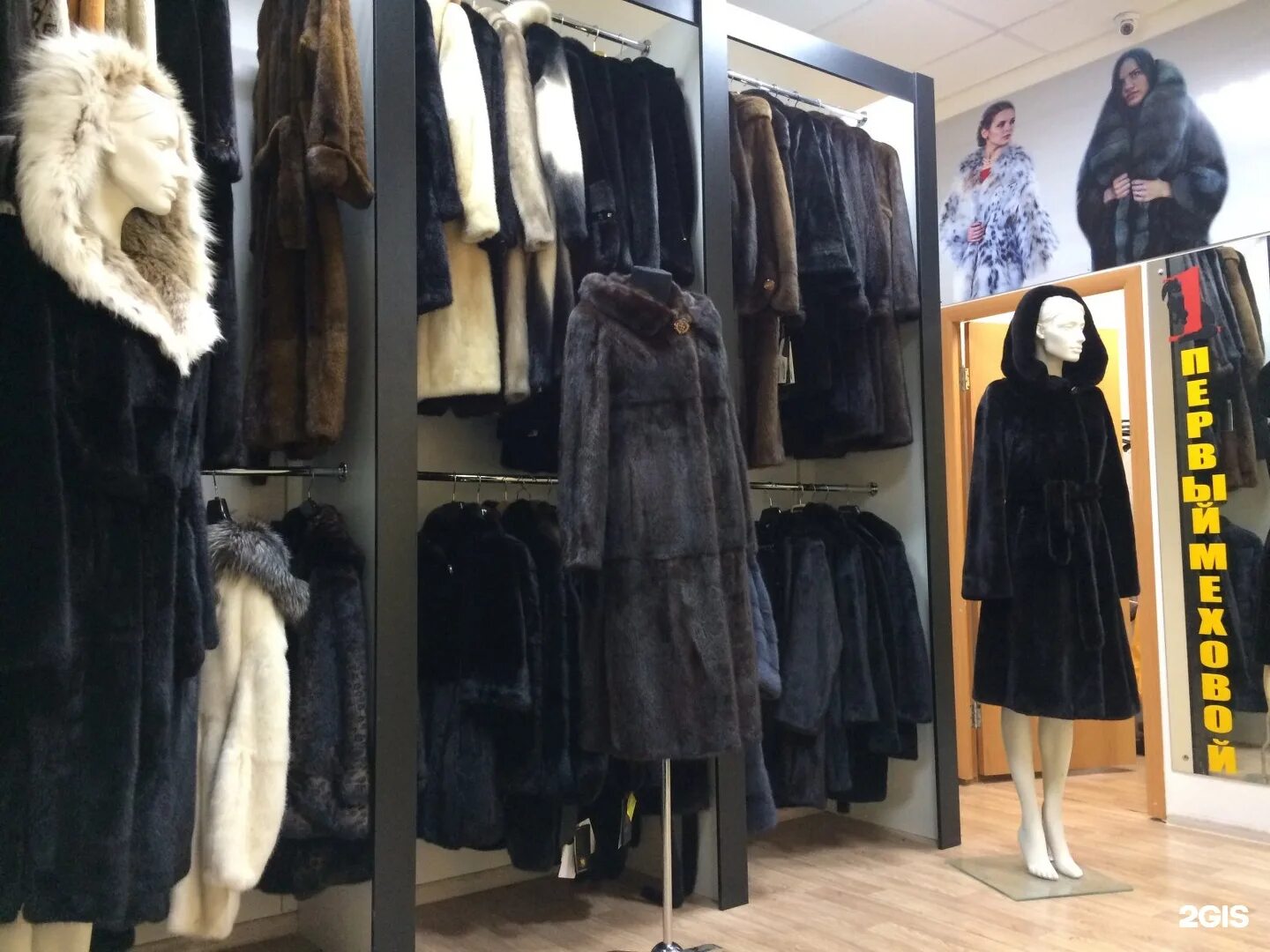 Шубы тюмень. Шубы тюмень. Шубы три льва. Шубы в тюмени. Шуба багира мутон норка.