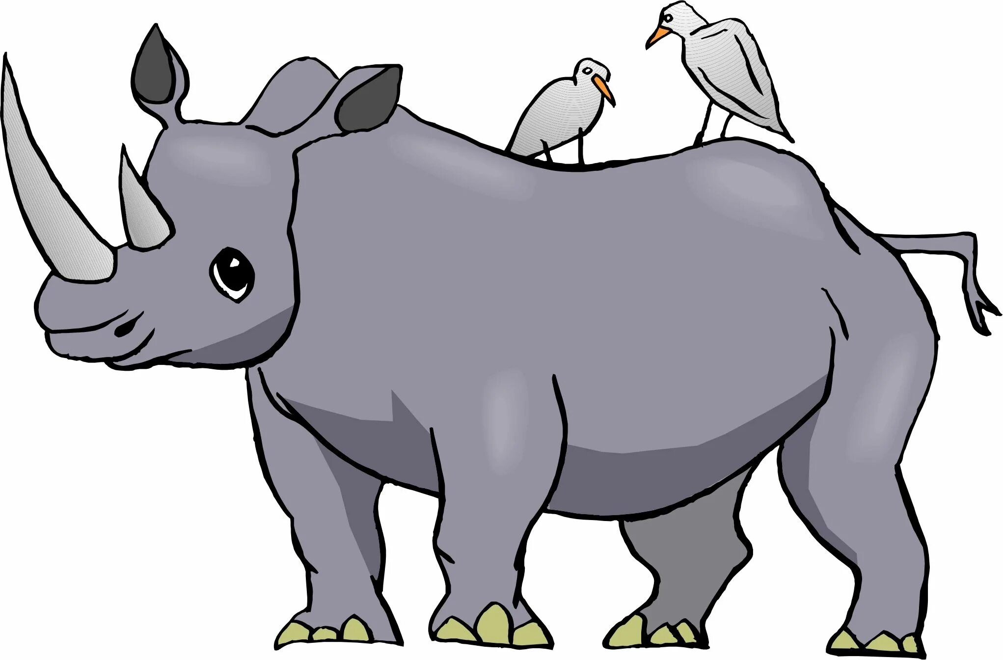 Изображения носорога. Носорог рисунок. Носорог мультяшный. Носорог рисунок для детей. Носорог рисунок на прозрачном фоне.
