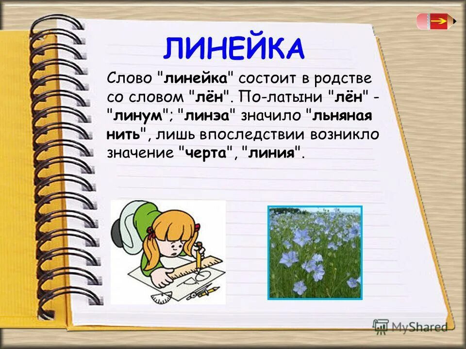 Значение линейки. История линейки для дошкольников. Информация про линейку. Сообщение о линейке. История создания линейки.