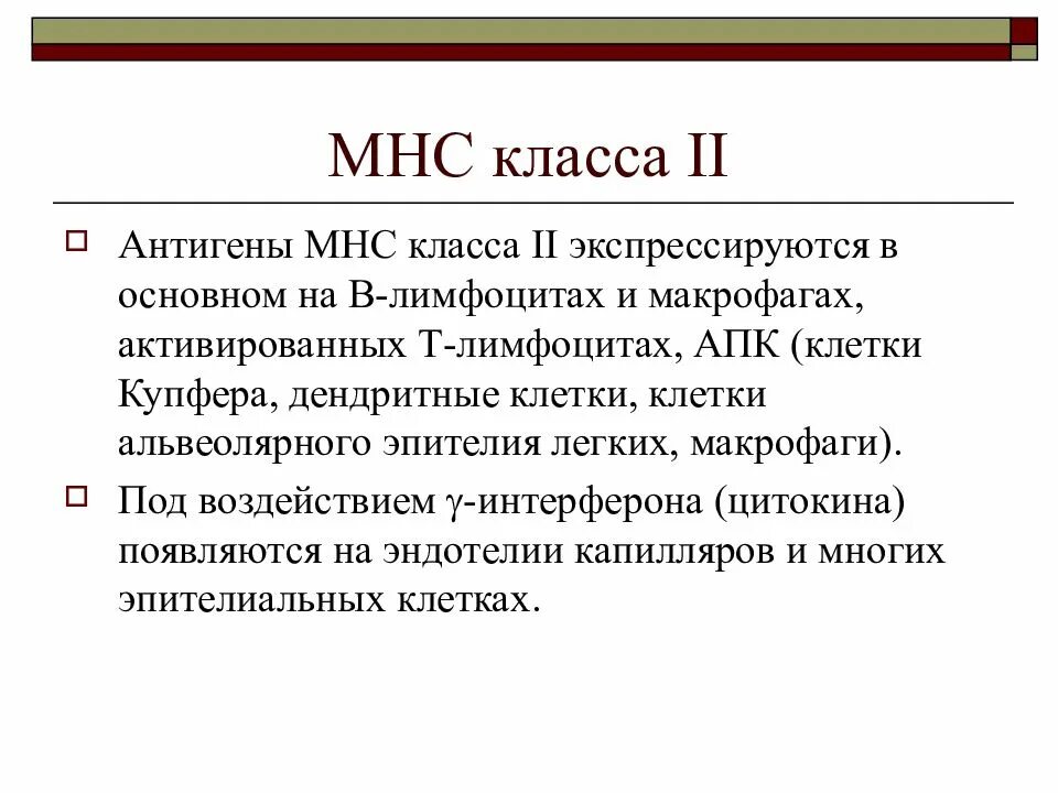 Антигены функции. Функции мнс иммунология. антигены мнс. классы мнс. функции антигенов.