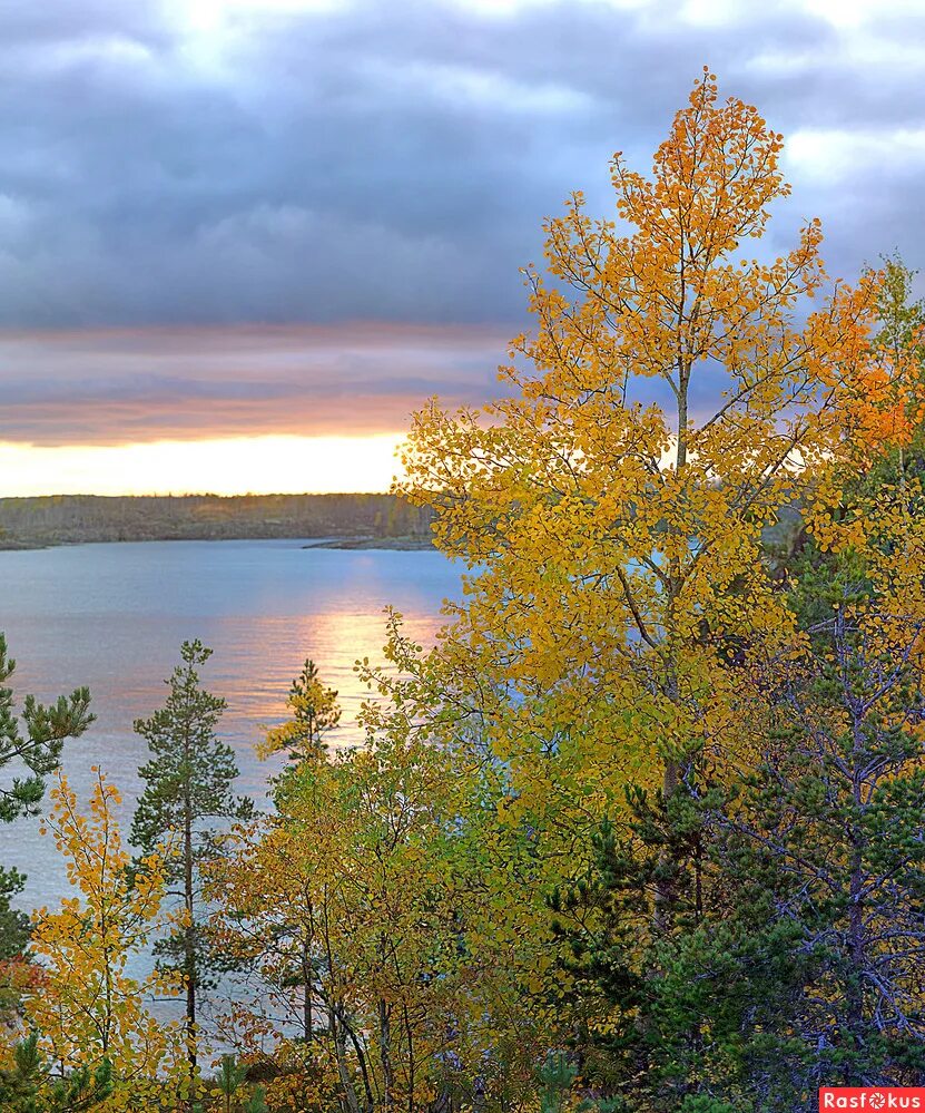 Алисов михаил александрович. Мыс рожнова. Мыс трамбецкого приморский край. Горы вуокса. Миноноска бухта безверхово.
