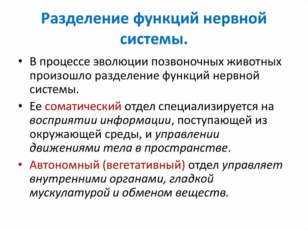 Автономный отдел. Разделение функций нервной системы. функции нервной системы. нервная система функции системы. деление нервной системы на отделы.
