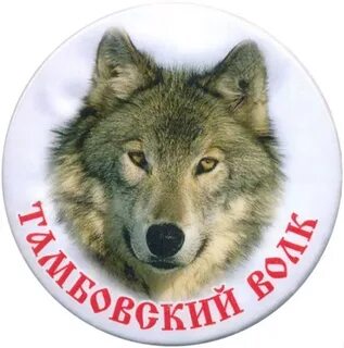 Выражение волк товарищ