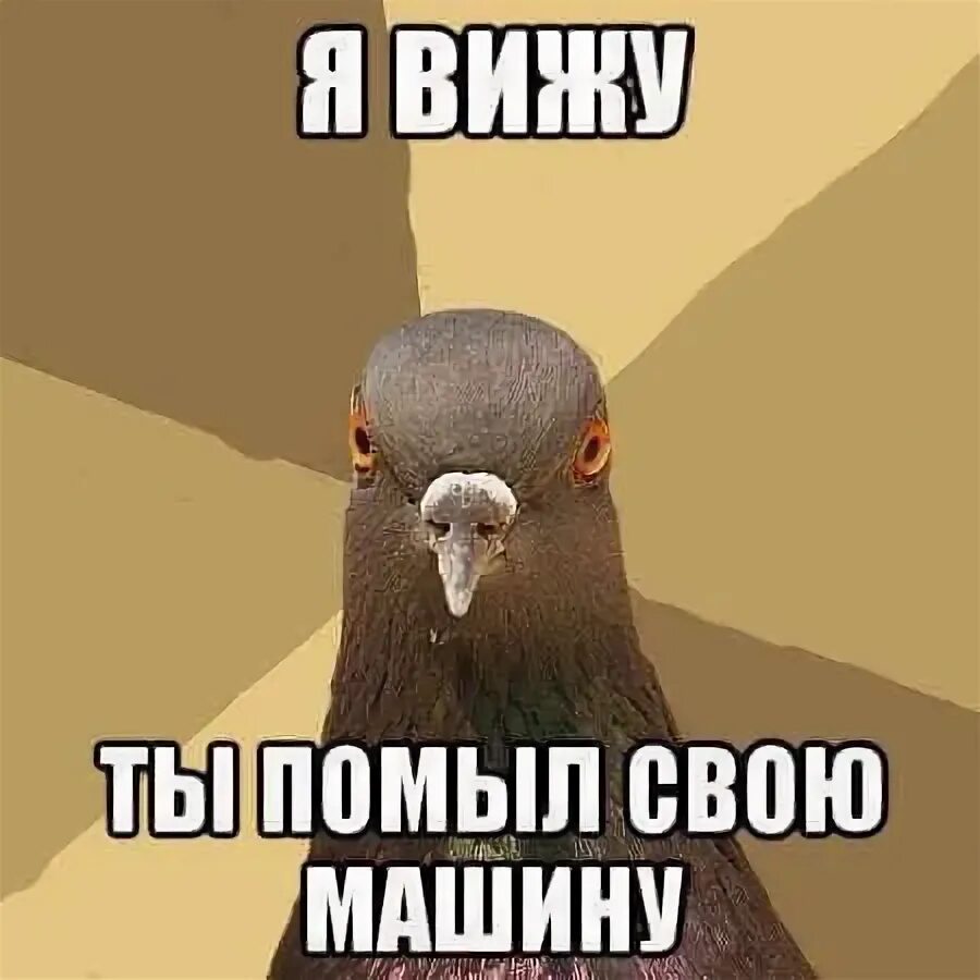 Следи 0