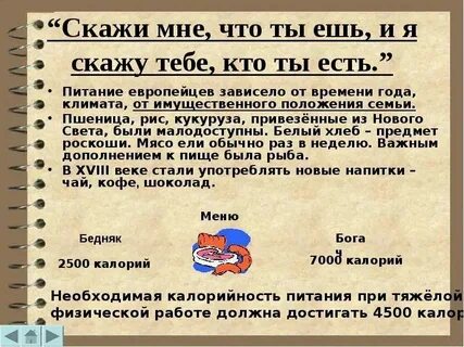 Изменения в жизни европейцев в 18 веке