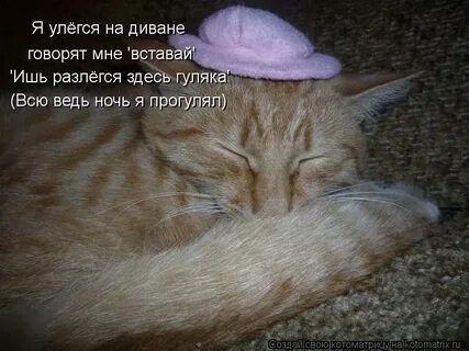 Гуляка 6 букв