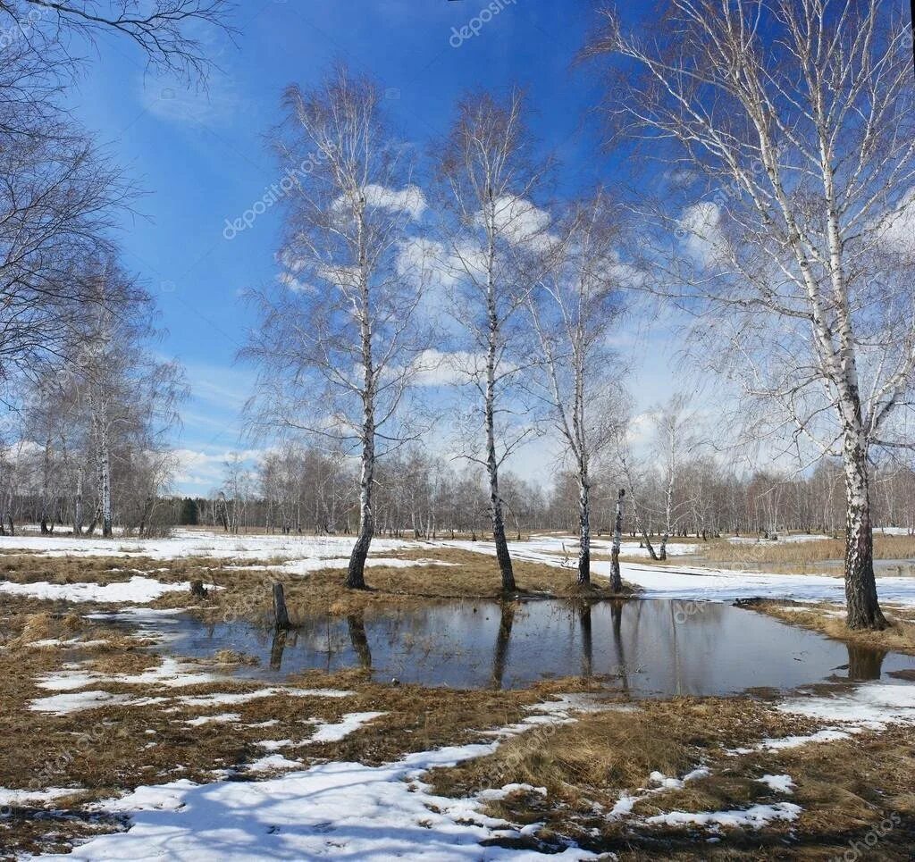 После апреля будет март. Весенний пейзаж.