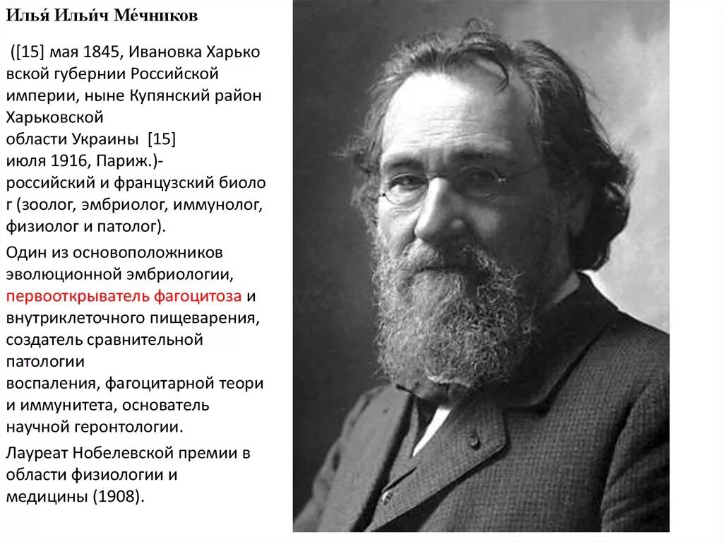 Илья ильич мечников (1845-1916). ). Илья ильич мечников. Создатель фагоцитарной теории иммунитета. 15 мая 1845 илья мечников.
