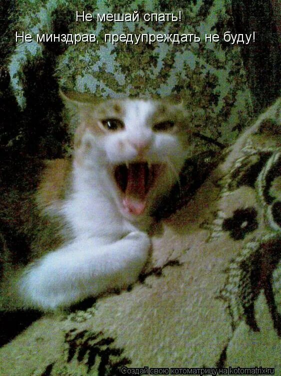 Мешают спать. Что мешает заснуть. Спящий человек мультяшный. Спящий человек. Мешали спать.