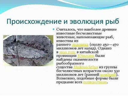 Появление рыб