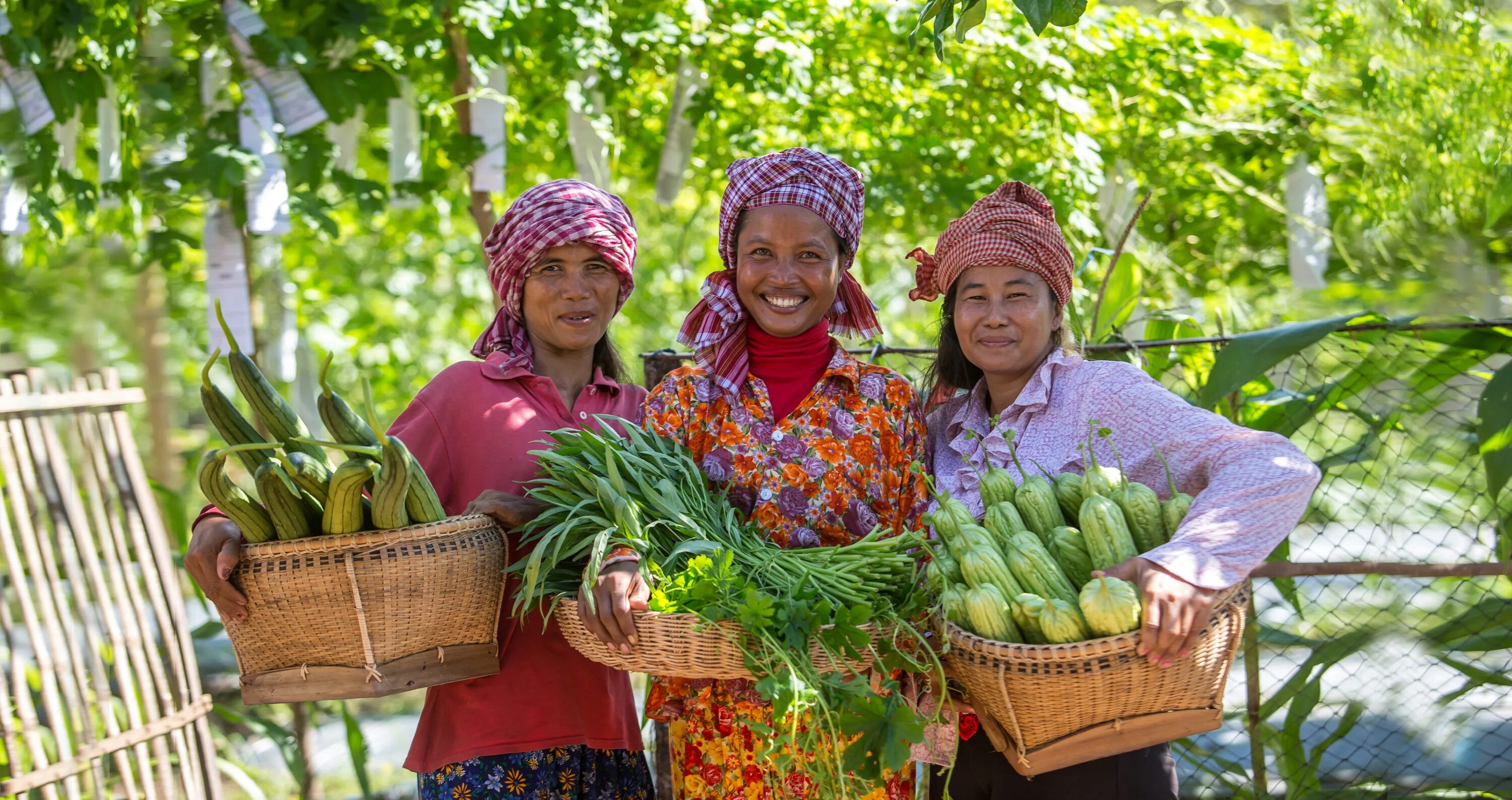 Лаос сельское хозяйство. Сельское хозяйство Камбоджи. Земледелие Камбоджи. Сельское хозяйство Таиланда.