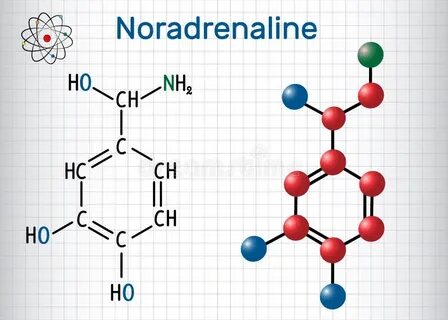 Noradrenaline это