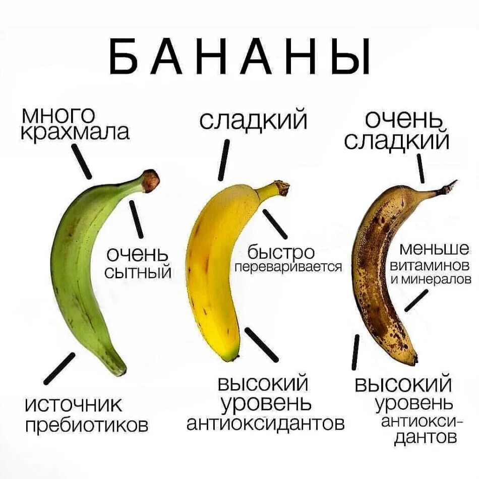 Что будет если каждый день есть банан. Бананы польза. что полезного в бананах. польза бананов. чем полезен банан.