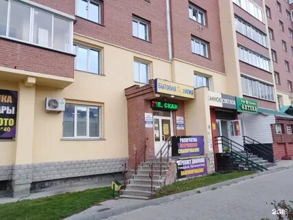Сайт чистый мир новосибирск