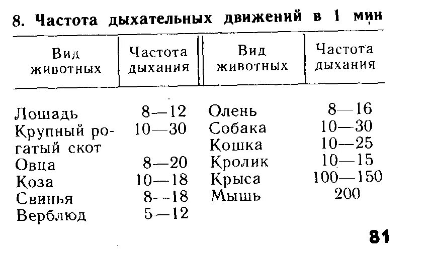 Частота дыхательных движений у разных животных. Частота сердечных сокращений у разных животных. Норма дыхательных движений у собак. Количество дыхательных движений в минуту у животных. Частота выдохов в минуту