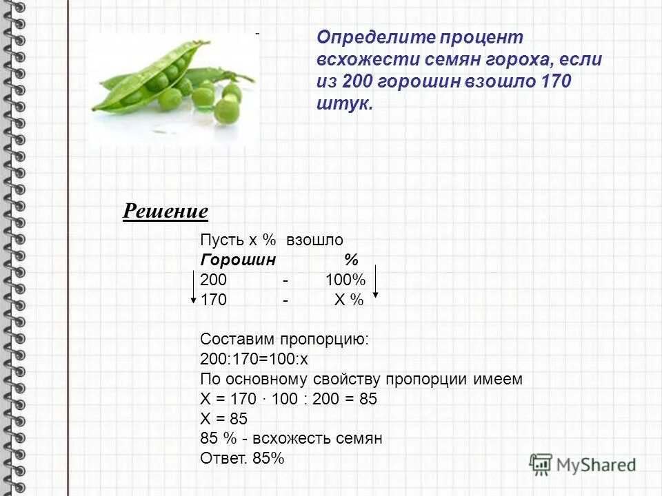 Задачи для детей посадка гороха. Формула определения процента прорастания семян. Как посчитать всхожесть семян в процентах. Задачки на прорастание.