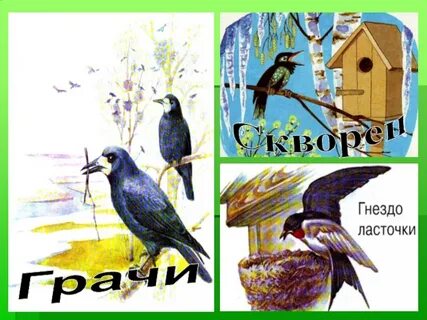 Домик грача