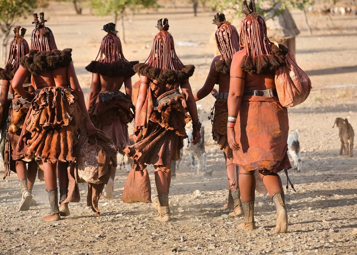 Tribe himba купить. Племя Химба в Намибии. Племя Химба, Намибия women. Племя Химба в Африке. Химба Намибия женщины в полный рост.