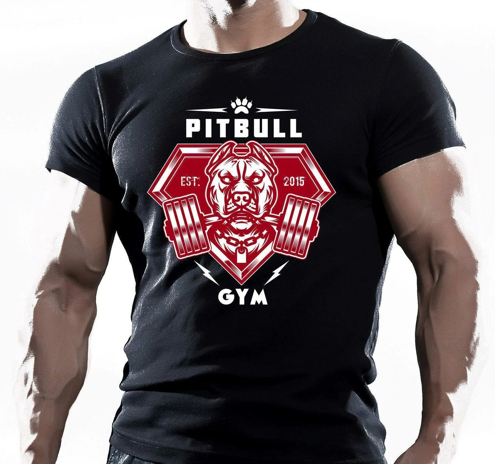 Pitbull одежда. Футболка ММА. Футболка Gym. Майка Pitbull Gym.