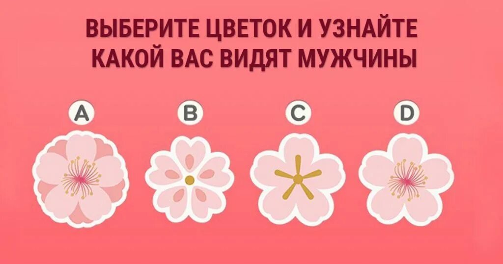 Проходит женские тесты. Тесты психологические для женщин. интересный тест для женщин. тест в картинках для женщин. тест в картинках психологический для женщин.