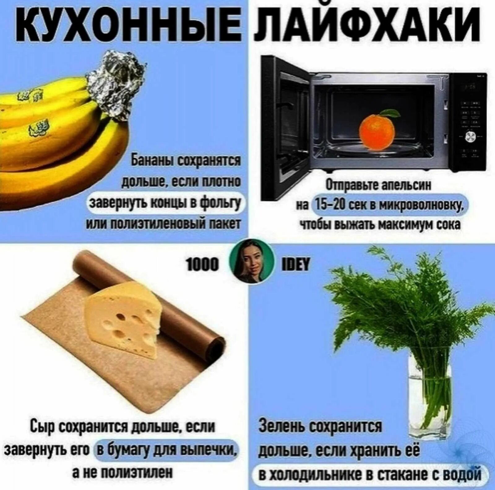 Полезные советы для домоседа. Маленькие хитрости из науки и жизни. Полезные дома. Основы хитрости. Основы хитрости.