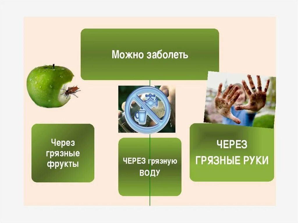 Гигиена питания. Гигиена питания 8 класс биология. Гигиена питания ppt. Правила гигиены питания биология 8 класс.