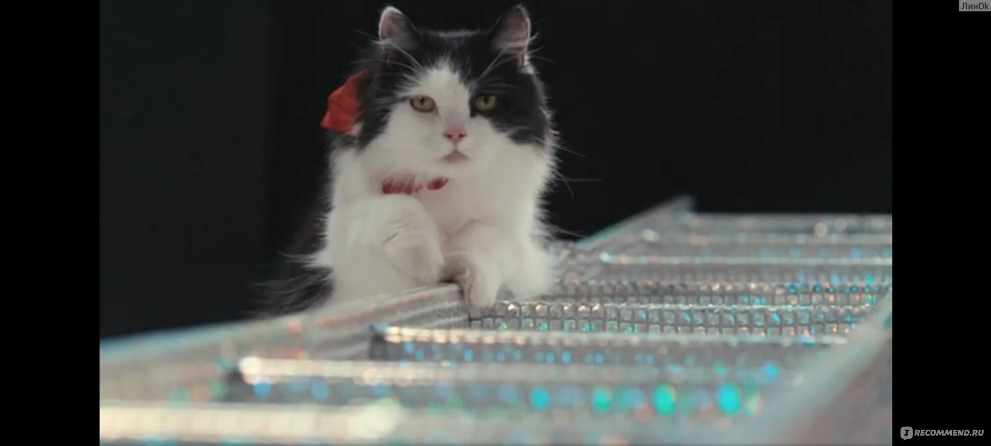 Rad cat reason cs2