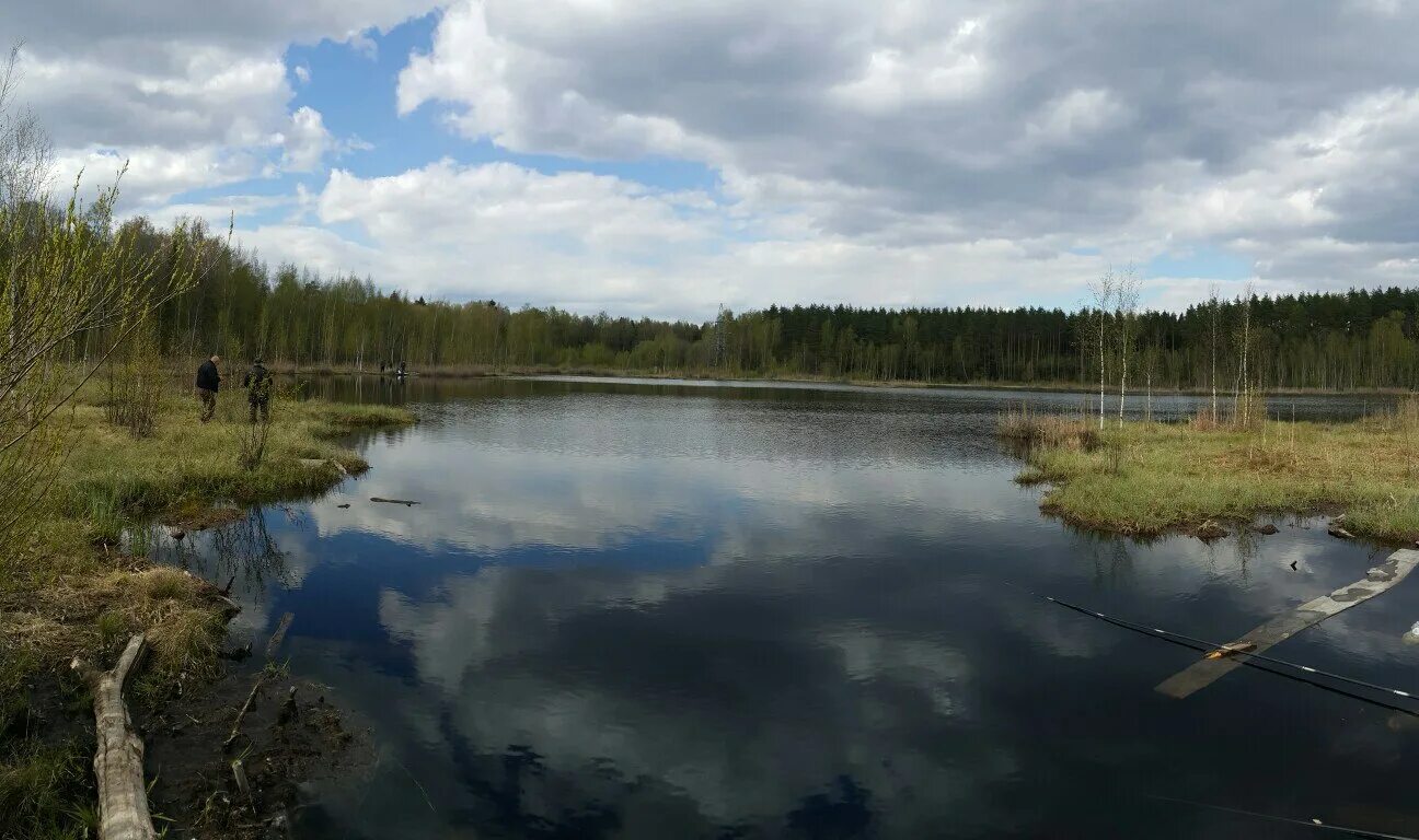 Погода середниково. Село Середниково Шатурский район. Шатура Середниково. Середниково Шатура храм. Середниково рыбалка Шатурский район.