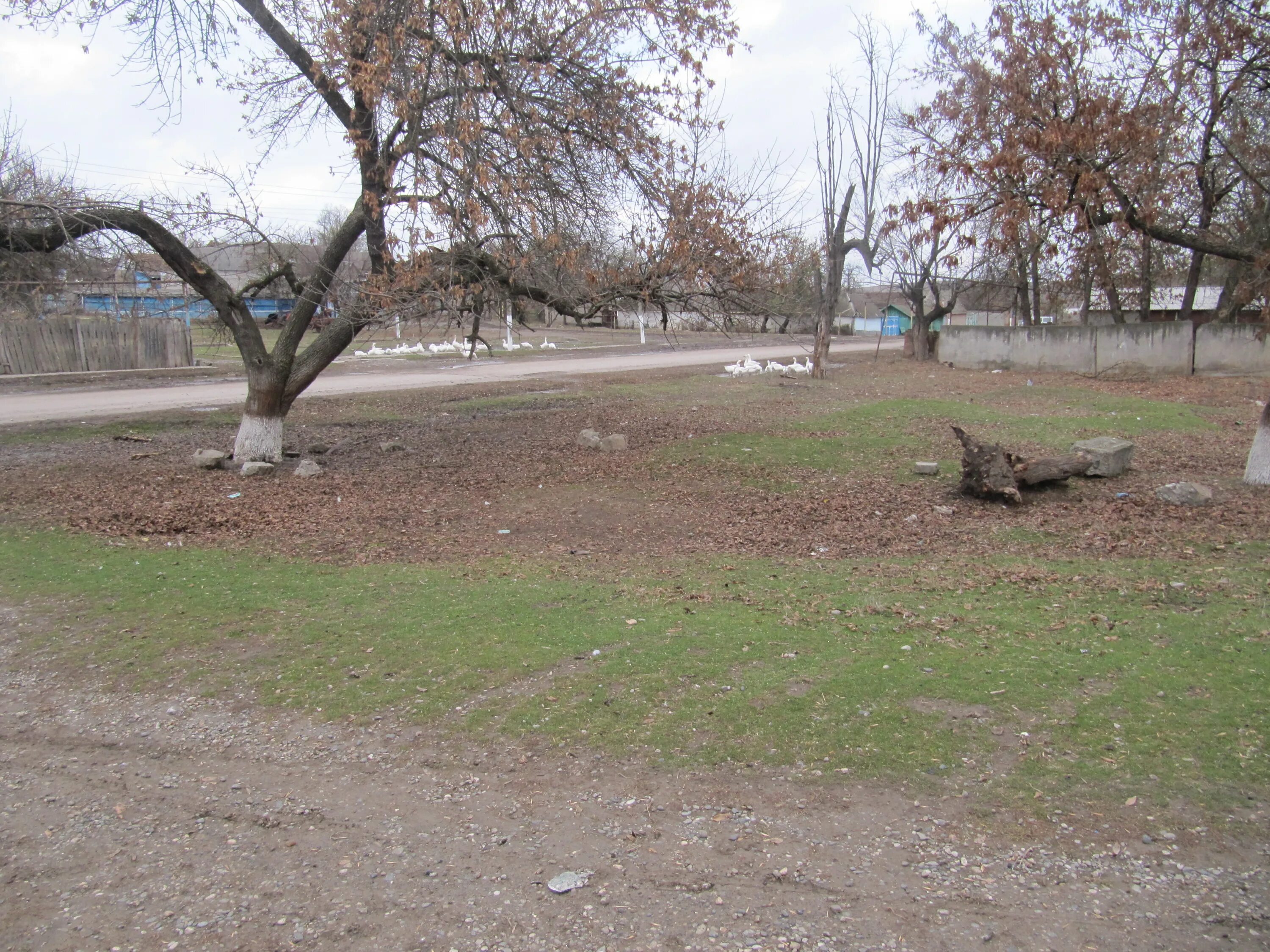 Погода верхний курп. Нижний Курп. Нижний Курп фото. Кабардино-Балкария село Нижний Курп. Кладбище Мамонтов за селением верхний Курп.