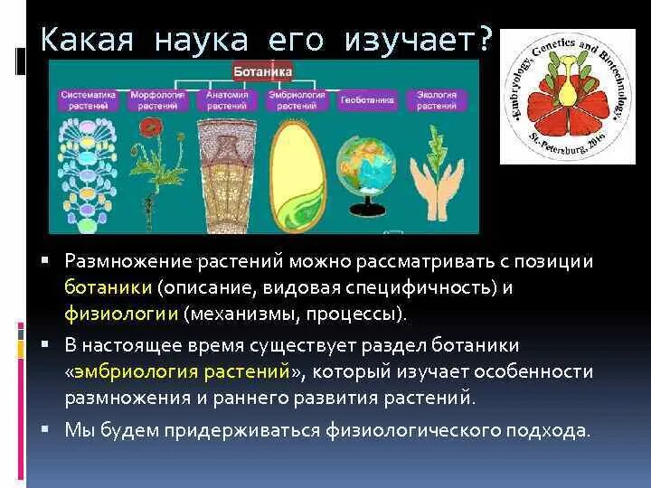 Какая ботаническая наука изучает испарение. Какая наука изучает размножение. Изучение растений наука. Наука изучающая процесс размножения растений. Какие науки в ботанике.